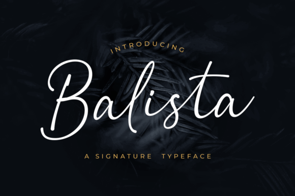 Balista Font: Elevating Web Design with Elegant Script