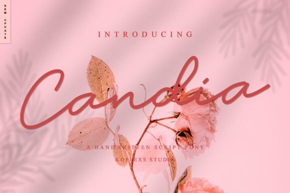 Candia Typeface: A Calm Editorial Review