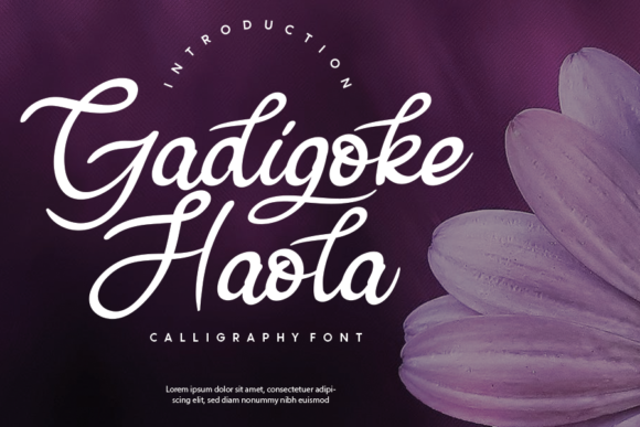 Gadigoke Haola Font for Scroll-Stopping Design