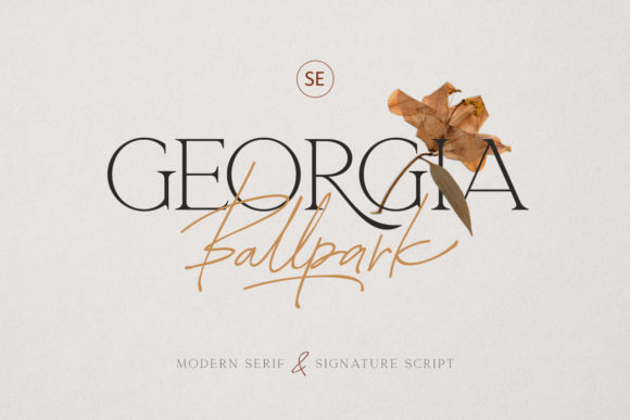 Georgia Ballpark: A Serif Font for Modern Web Design