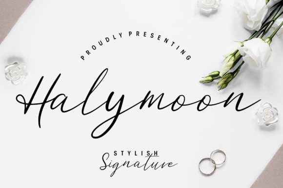 Halymoon: A Designer’s Honest Review for Real Projects