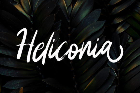 Heliconia Font: A Web Designer’s Review