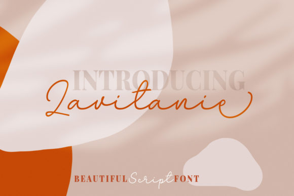Lavitanie Font: A Friendly Typeface for Branding
