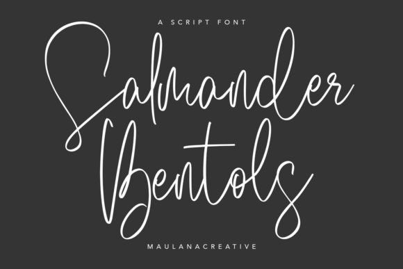 Salmander Bentols: A Timeless Typeface for Branding