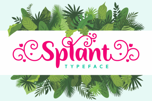 Splant: A Versatile Script Font for Modern Web Design