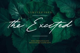The Excited Font: A Bold Script for Campaigns